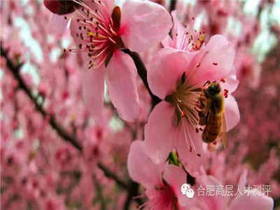 欧美激情性做爰免费视频